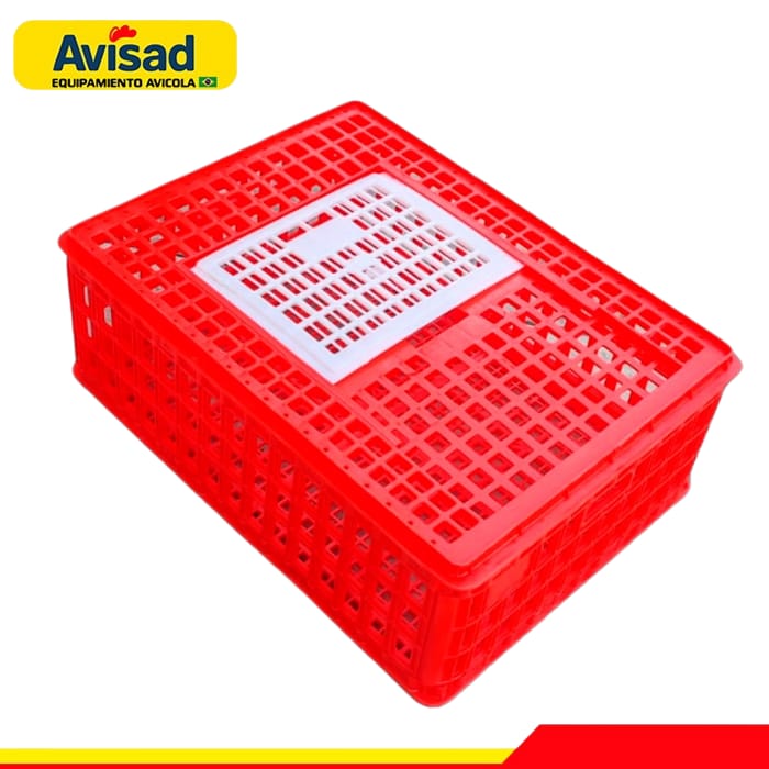 Canasta Roja